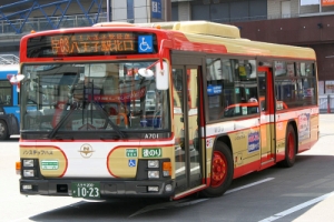 bus